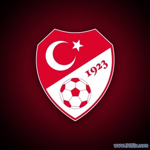 土耳其足协自查：571名现役裁判有152东谈主投注博彩，主如若国际联赛