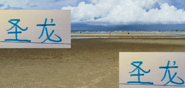 世龙 汉龙 圣龙 海港+申花几个龙 仍是蓝军的1米93中后卫打出来